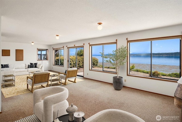 2847 Tillicum Beach Rd, Camano Island, WA 98282 - photo 18