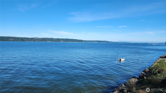 2847 Tillicum Beach Rd, Camano Island, WA 98282 - photo 33