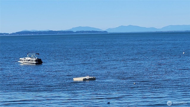 2847 Tillicum Beach Rd, Camano Island, WA 98282 - photo 35
