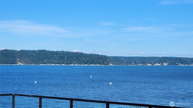 2847 Tillicum Beach Rd, Camano Island, WA 98282 - photo 30