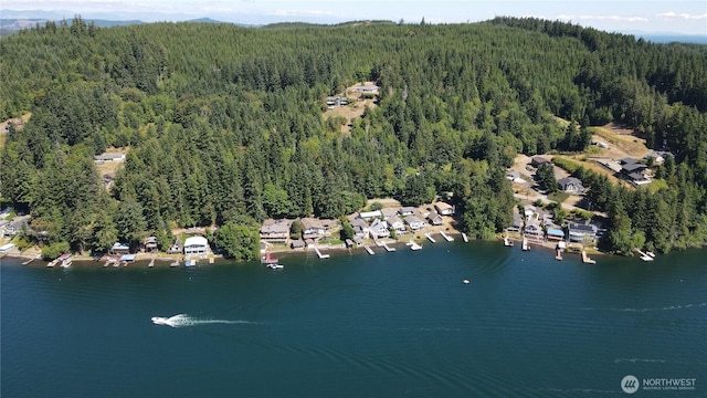 1936 Summit Lake Shore Rd NW, Olympia, WA 98502 - aerial view of property's location with a heavily wooded area and a nearby body of water