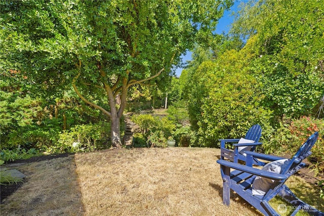 3434 59th Ave SW, Seattle, WA 98116 - photo 30