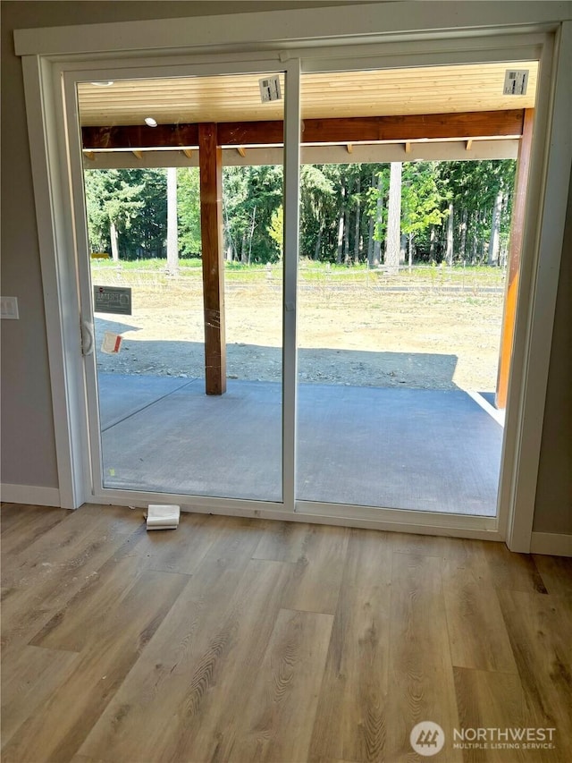 1014 Night Hawk Way, Everson, WA 98247 - doorway with wood finished floors