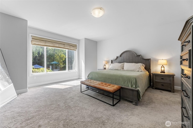 10612 227th Ave E, Buckley, WA 98321 - photo 18