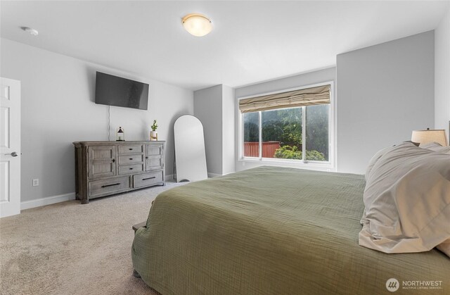 10612 227th Ave E, Buckley, WA 98321 - photo 20