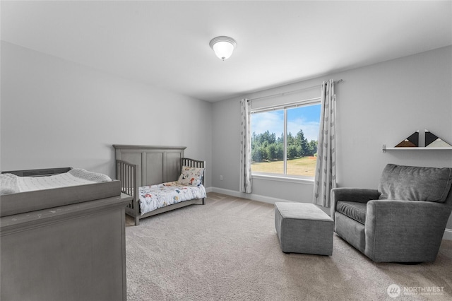 10612 227th Ave E, Buckley, WA 98321 - photo 27