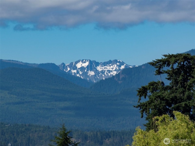 871 Medsker Rd, Sequim, WA 98382 - photo 16