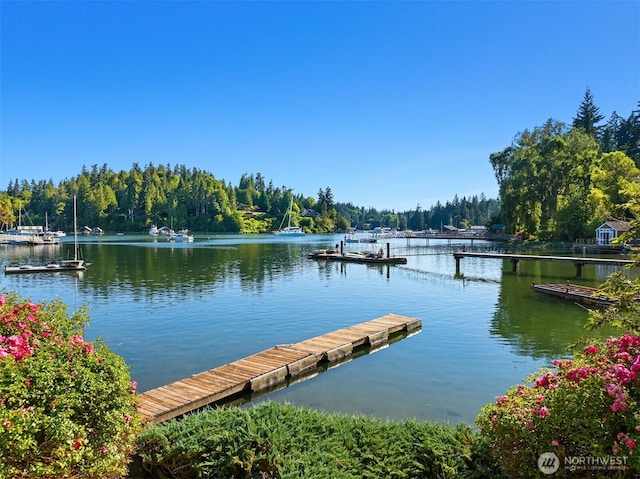15011 Skogen Ln NE, Bainbridge Island, WA 98110 - photo 3