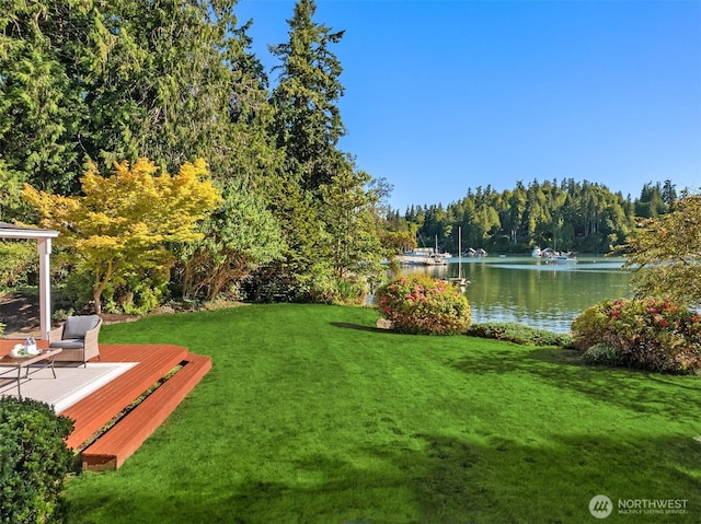 15011 Skogen Ln NE, Bainbridge Island, WA 98110 - photo 30