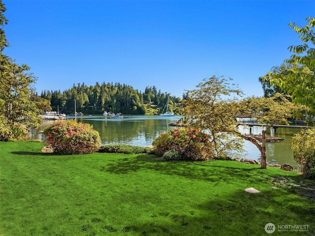 15011 Skogen Ln NE, Bainbridge Island, WA 98110 - photo 31