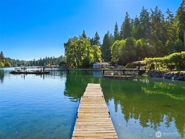 15011 Skogen Ln NE, Bainbridge Island, WA 98110 - photo 32