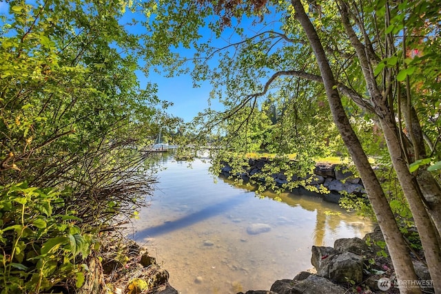 15011 Skogen Ln NE, Bainbridge Island, WA 98110 - photo 33