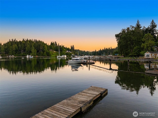 15011 Skogen Ln NE, Bainbridge Island, WA 98110 - photo 35