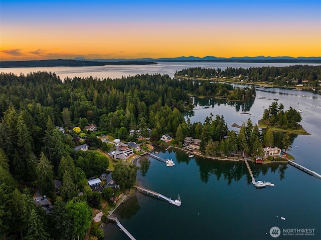 15011 Skogen Ln NE, Bainbridge Island, WA 98110 - photo 36