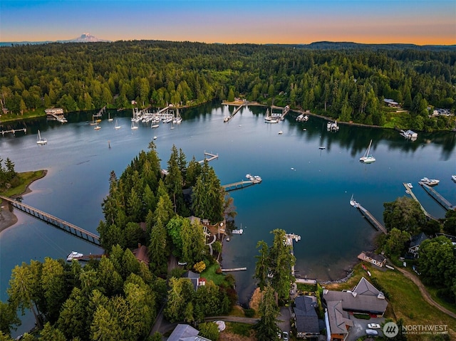 15011 Skogen Ln NE, Bainbridge Island, WA 98110 - photo 37
