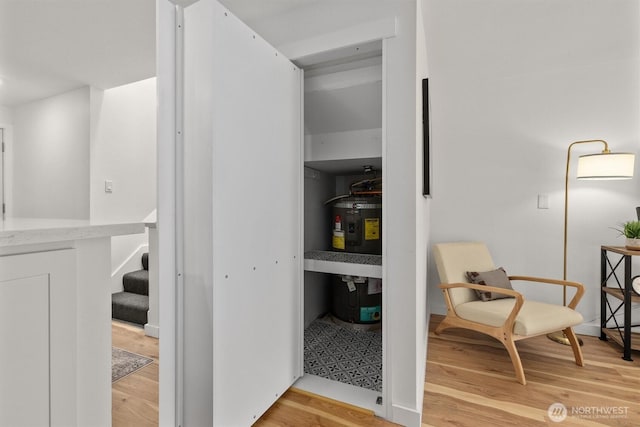 9641 NE 121st Ln, Kirkland, WA 98034 - view of pantry