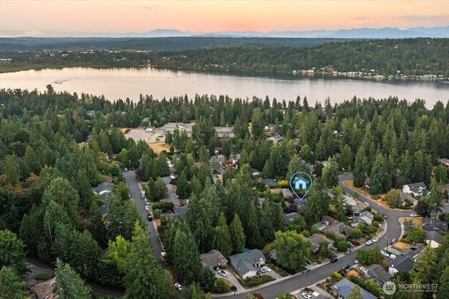 2806 178th Ave NE, Redmond, WA 98052 - photo 40
