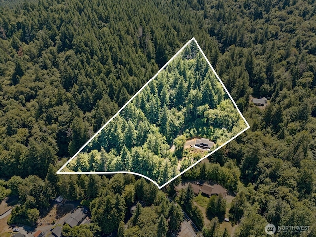 508 Summit Lake Shore Rd NW, Olympia, WA 98502 - photo 6