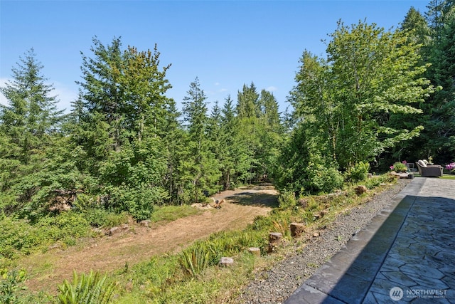 508 Summit Lake Shore Rd NW, Olympia, WA 98502 - photo 33