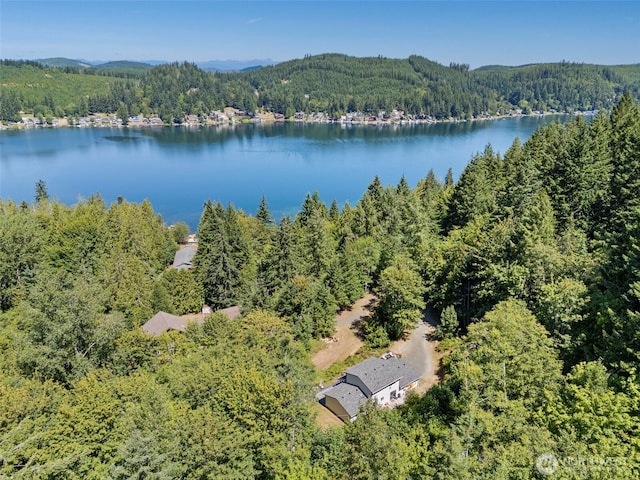508 Summit Lake Shore Rd NW, Olympia, WA 98502 - photo 37