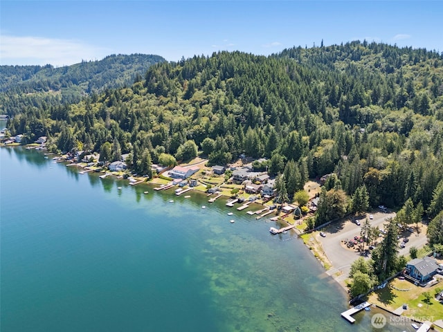 508 Summit Lake Shore Rd NW, Olympia, WA 98502 - photo 39