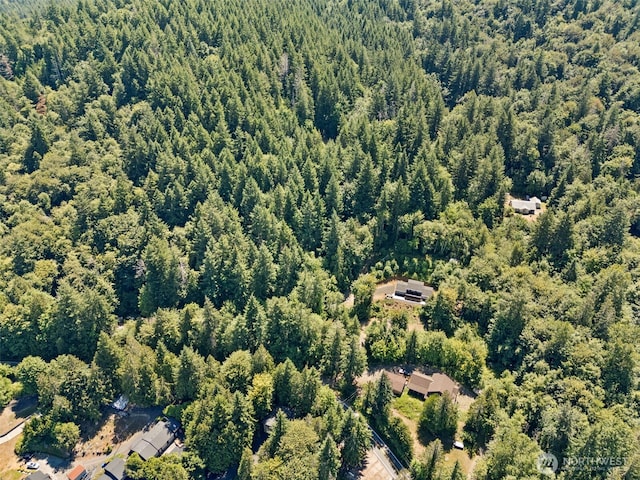 508 Summit Lake Shore Rd NW, Olympia, WA 98502 - photo 40