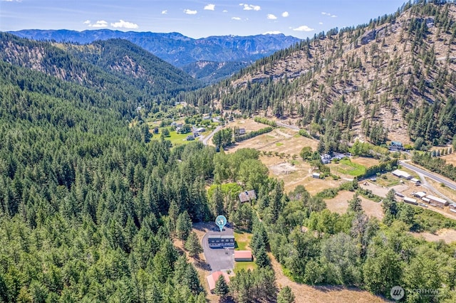 9585 Eagle Crk, Leavenworth, WA 98826 - photo 2