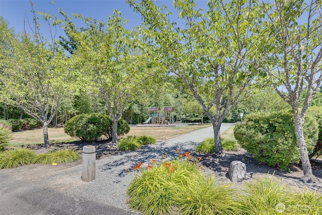 12032 1st Dr NW, Tulalip, WA 98271 - photo 36