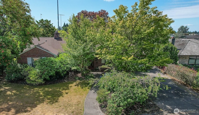 1811 NW 95th St, Seattle, WA 98117 - photo 40