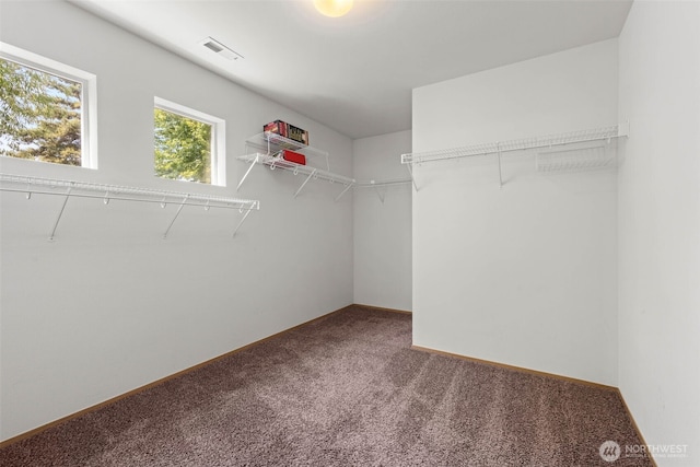 9426 187th Street Ct E, Puyallup, WA 98375 - photo 34