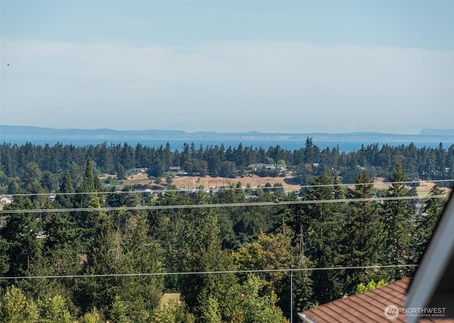 70 Onyx Ln, Sequim, WA 98382 - balcony with a wooded view
