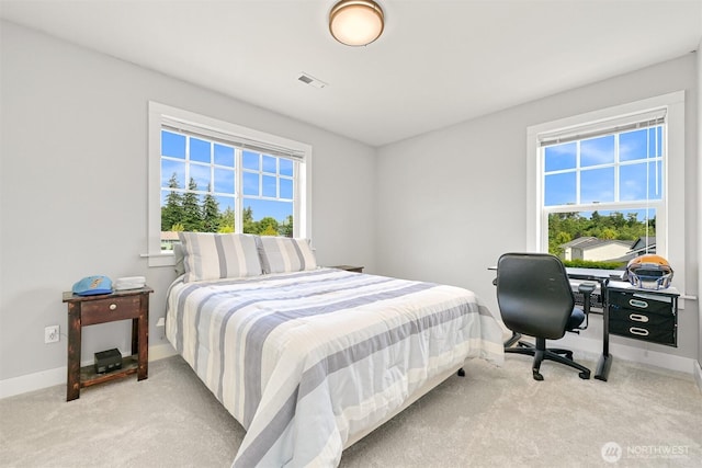 6209 Lincoln Dr, Ferndale, WA 98248 - bedroom featuring carpet and multiple windows