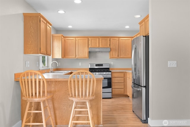 6209 Lincoln Dr, Ferndale, WA 98248 - kitchen with a peninsula, appliances with stainless steel finishes, light wood-style flooring, light countertops, and recessed lighting