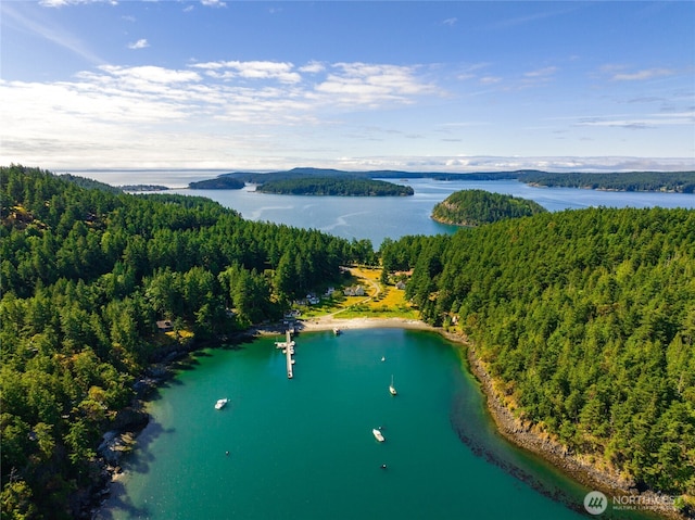 0EC-19 E Cove Rd, Decatur Island, WA 98221 - photo 5