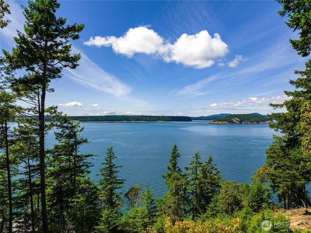 0EC-19 E Cove Rd, Decatur Island, WA 98221 - photo 1