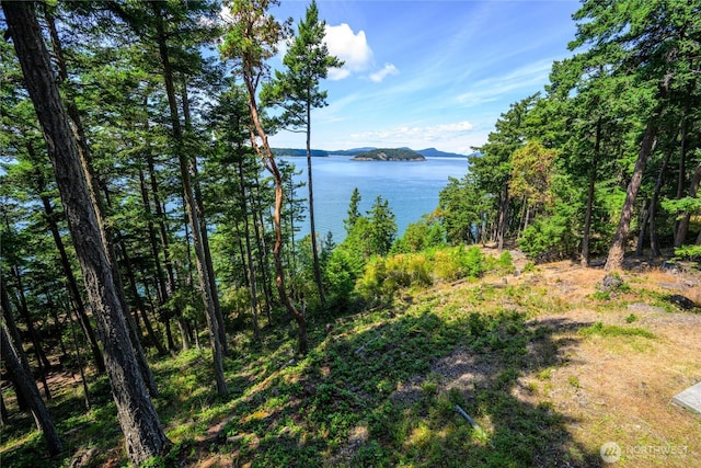 0EC-19 E Cove Rd, Decatur Island, WA 98221 - photo 2