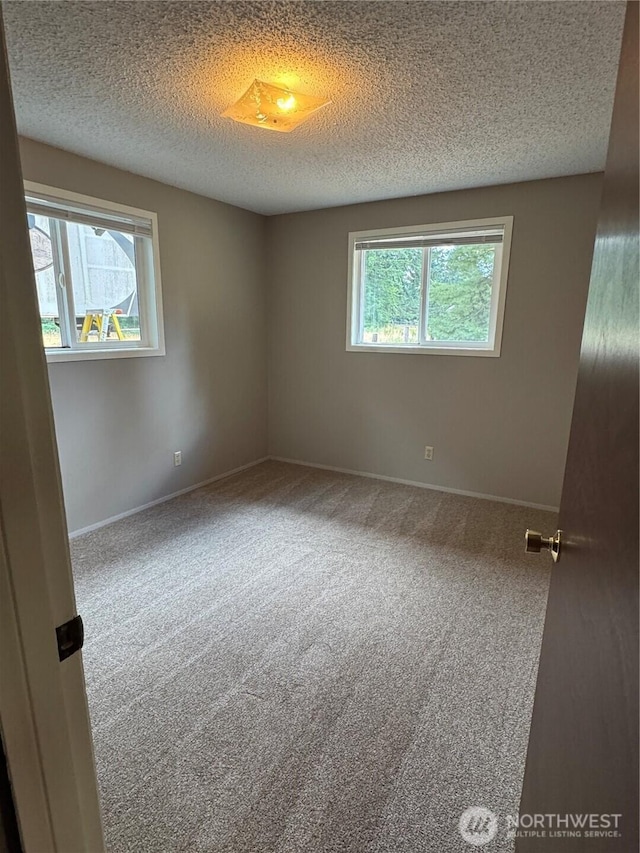 5501 89th Ave SE, Olympia, WA 98513 - photo 34