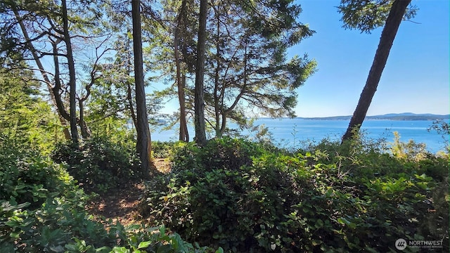1131 Lopez Rd, Lopez Island, WA 98261 - photo 27
