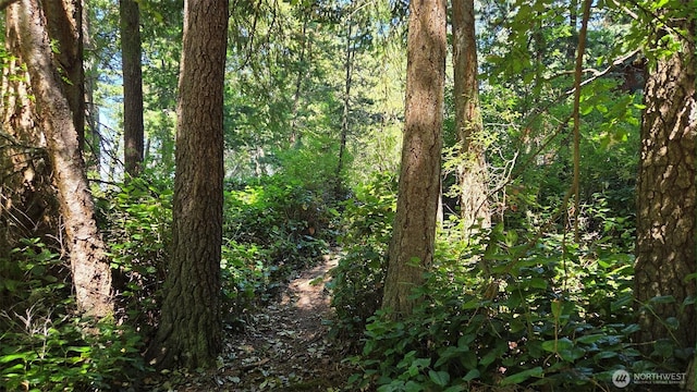 1131 Lopez Rd, Lopez Island, WA 98261 - photo 28