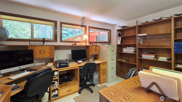 1131 Lopez Rd, Lopez Island, WA 98261 - photo 22