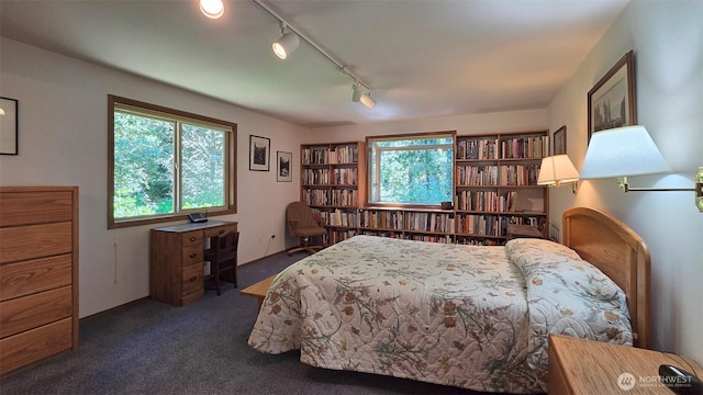 1131 Lopez Rd, Lopez Island, WA 98261 - photo 15