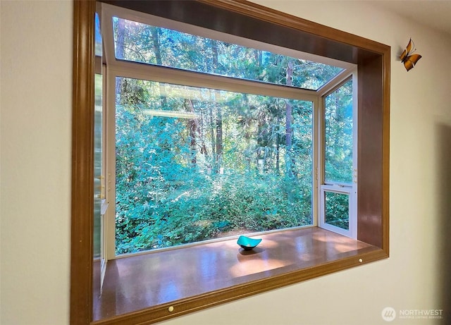 1131 Lopez Rd, Lopez Island, WA 98261 - photo 12