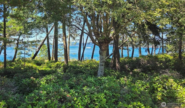 1131 Lopez Rd, Lopez Island, WA 98261 - photo 5