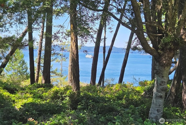 1131 Lopez Rd, Lopez Island, WA 98261 - photo 4