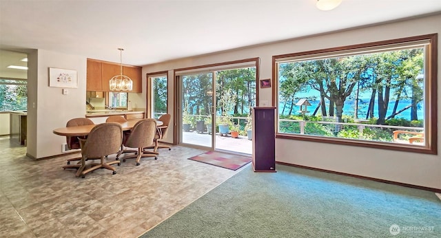 1131 Lopez Rd, Lopez Island, WA 98261 - photo 9