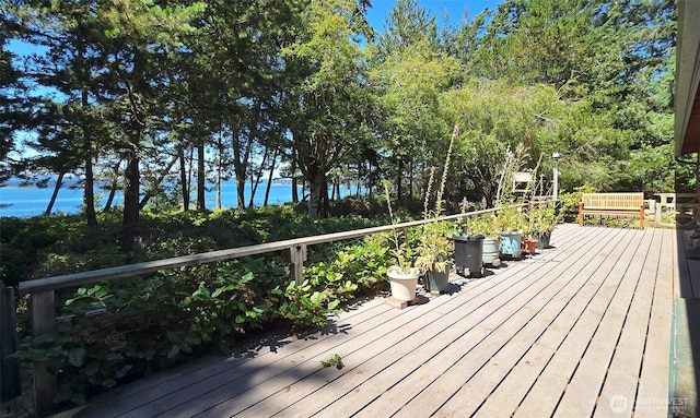 1131 Lopez Rd, Lopez Island, WA 98261 - photo 26