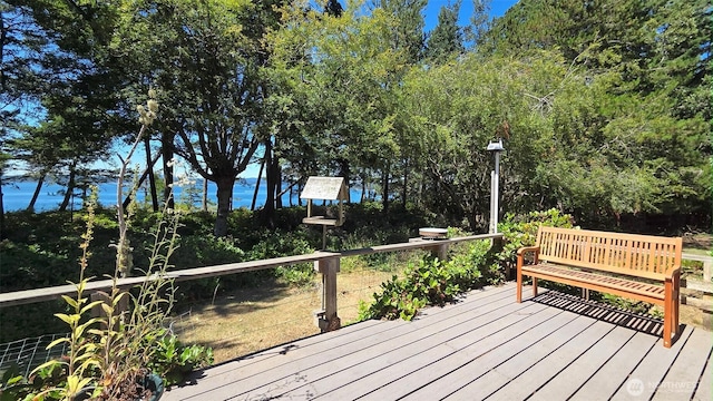 1131 Lopez Rd, Lopez Island, WA 98261 - photo 25