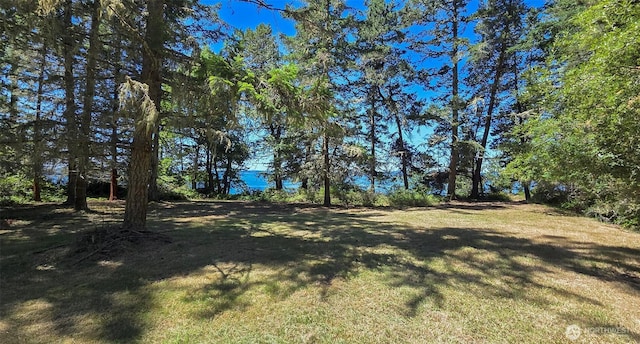 1131 Lopez Rd, Lopez Island, WA 98261 - photo 29