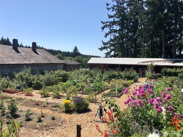 10419 Matthews Way, Anderson Island, WA 98303