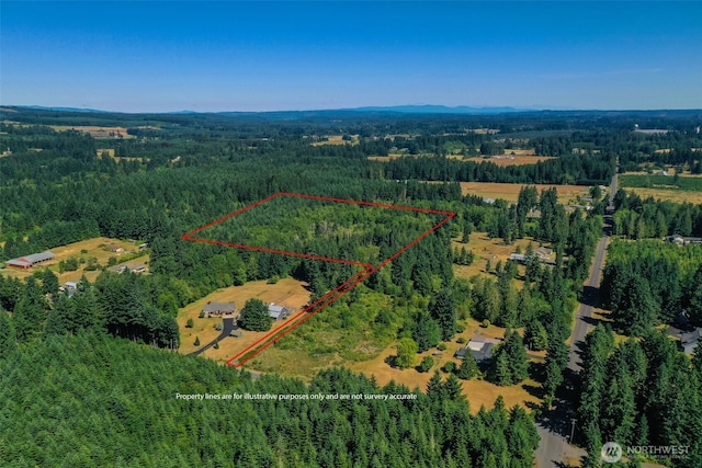 243 Hawkins Rd, Winlock, WA 98596 - photo 1